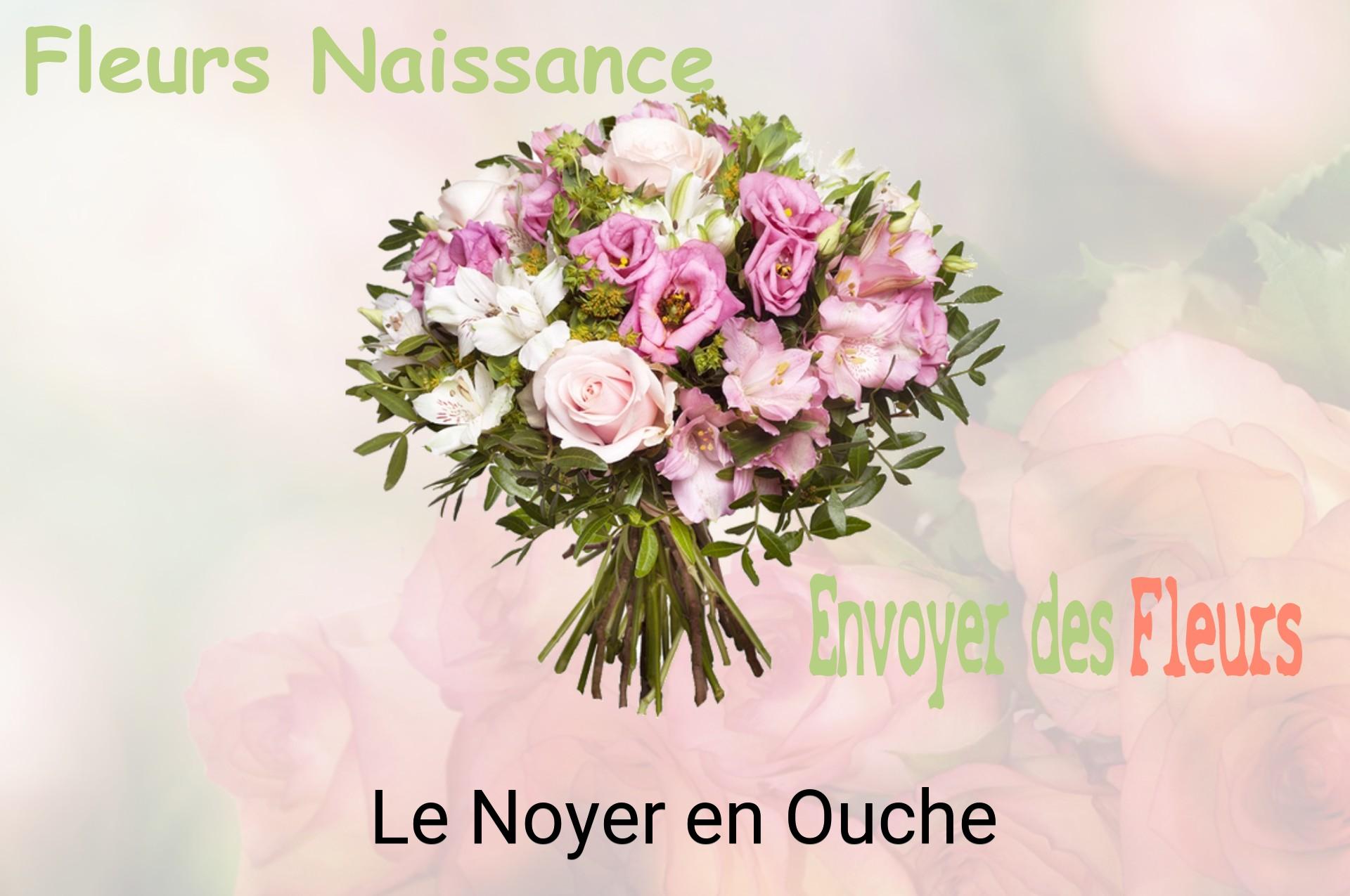Bouquet de fleurs de naissance livré à Le Noyer-en-Ouche